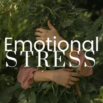 Emotional Stress: 2 Hours of Relaxing Music by Unknown Artist