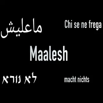 Maalesh by Lawrence Collins