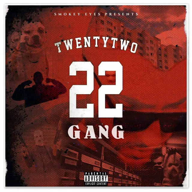 22 Gang