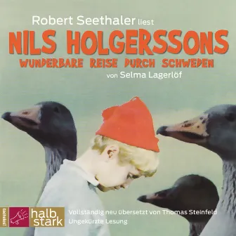 Nils Holgerssons wunderbare Reise durch Schweden (Ungekürzt) by Selma Lagerlof