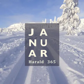 Januar by Harald 365