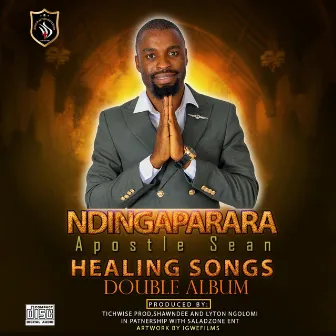 Ndingaparara by Unknown Artist