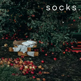 the apple orchard by socks.