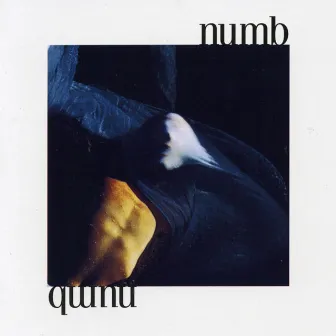 Numb by Numb