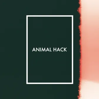 Body by ANIMAL HACK