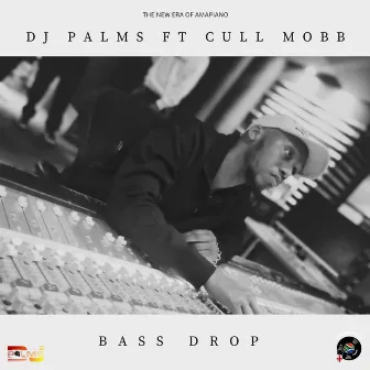 Bass Drop by DJ Palms