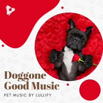 Doggone Good Music by Pet Music by Lullify