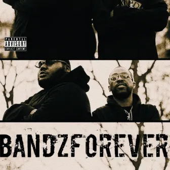 BandzForever by C Bandz