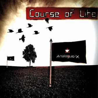 Course of Life by Analogue-X