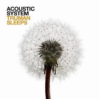 Truman Sleeps by Acoustic System