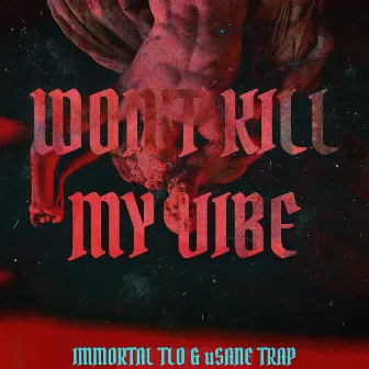 Won't Kill My Vibe by Immortal TLO