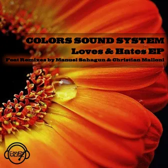 Loves & Hates EP by Colors Sound System