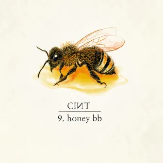 honey bb by Cint