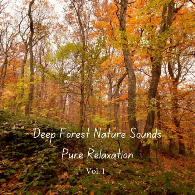 Calming Nature Sounds for Massage