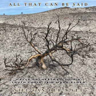 All That Can Be Said (Live) by Niel Van Der Watt