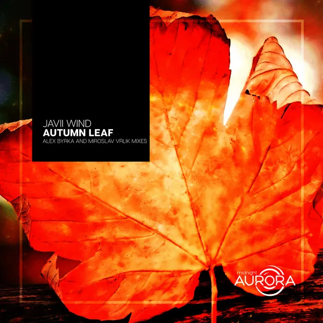 Autumn Leaf - Alex Byrka Bangin' Remix