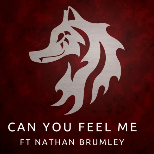 Can You Feel Me (feat. Nathan Brumley)