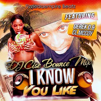 I Know You Like (DJ Cise Bounce Mix) by Fizzledaempire Beatz