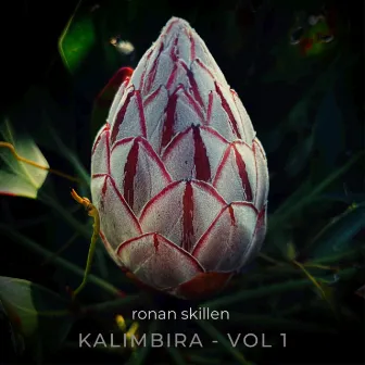 Kalimbira Vol. 1 by Ronan Skillen