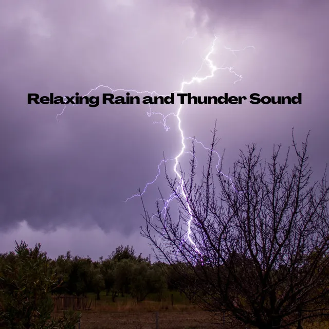 Best Rain and Thunder Sound to Help You Relax