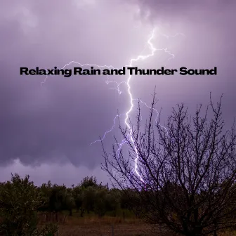 Relaxing Rain and Thunder Sound by Relaxing Noises