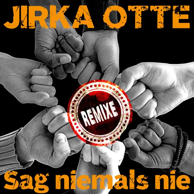 Sag niemals nie (Remixe)