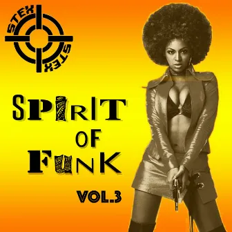 Spirit Of Funk, Vol.3 by Stex