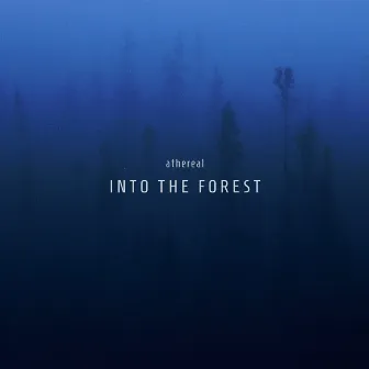 Intro the Forest by athereal