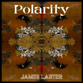 Polarity by James Larter