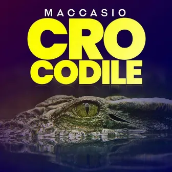 Crocodile by Maccasio