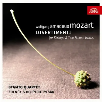 Mozart: Divertimenti for Strings and 2 French Horns by Stamic Quartet