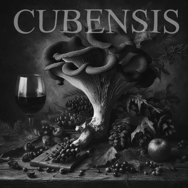 Cubensis