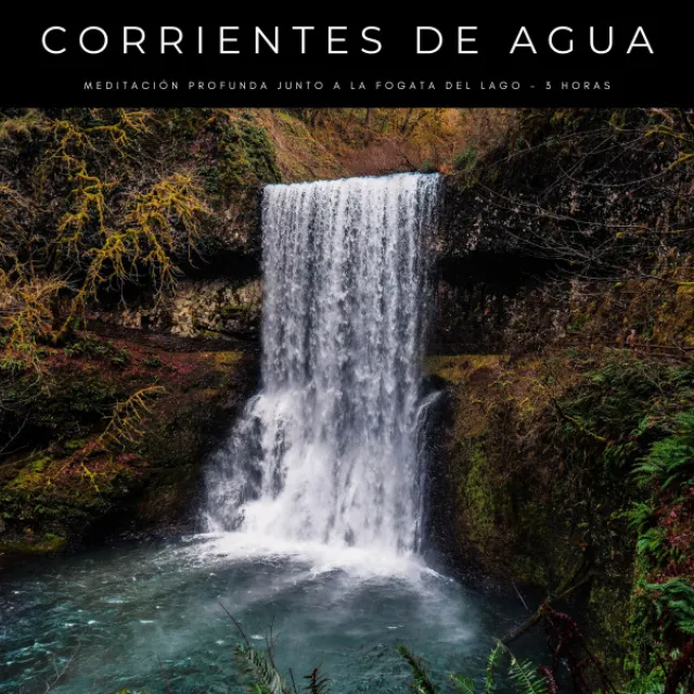 Corrientes De Agua: Meditación Profunda Junto A La Fogata Del Lago - 3 Horas