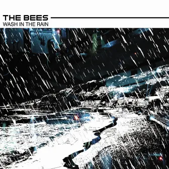 Wash In The Rain by The Bees