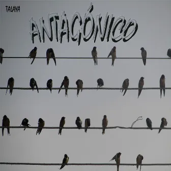 Antagónico by Talaya