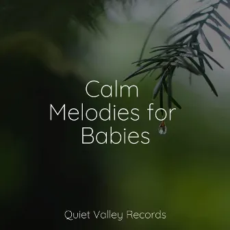 Calm Melodies for Babies by Internal Yoga