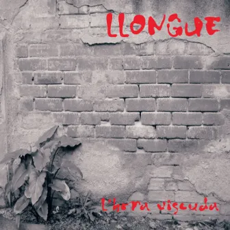 L'hora Viscuda by Llongue