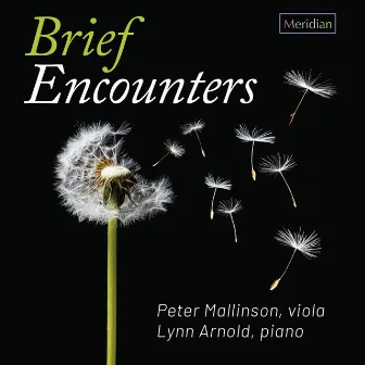 Brief Encounters by Peter Mallinson