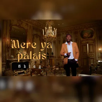 Mere ya palais by Shiny