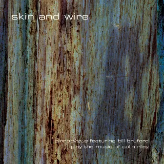 Skin and Wire by Piano Circus