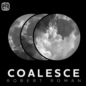 Coalesce by Robert Roman