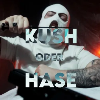 Kush oder Hase by 8MK8