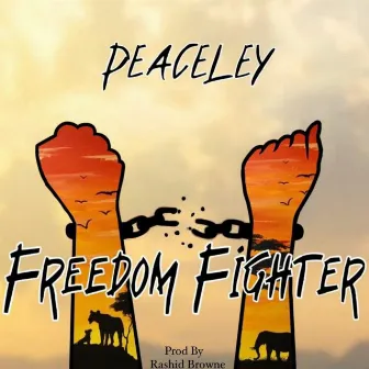 Freedom Fighter by Peaceley