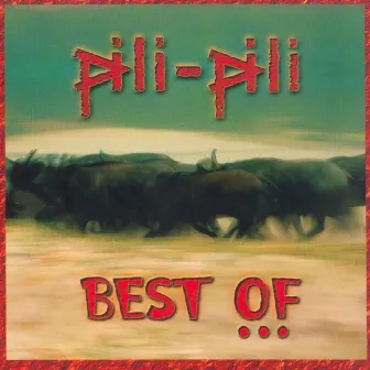 Best Of by Jasper van't Hofs Pili Pili