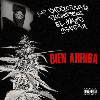 'BIEN ARRIBA' by Dp Daddypurple