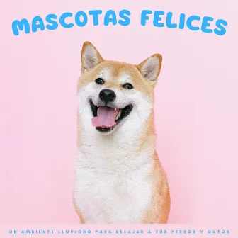 Mascotas Felices: Un Ambiente Lluvioso Para Relajar A Tus Perros Y Gatos by Mascotas Total Relax