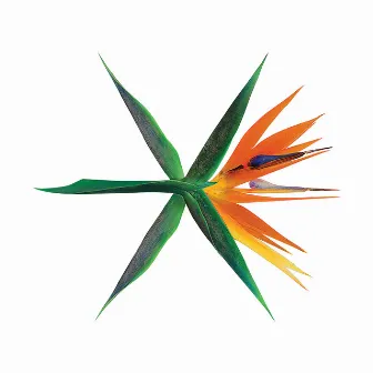 THE WAR - The 4th Album by EXO