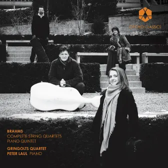 Brahms: Complete String Quartets & Piano Quintet by Gringolts Quartet