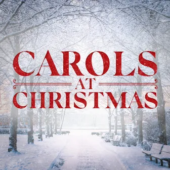 Carols at Christmas by Guildford Cathedral Choir