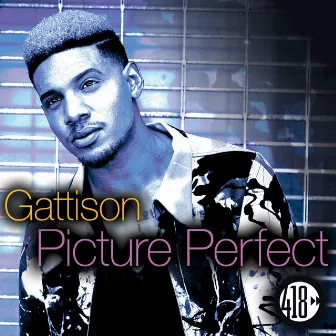 Picture Perfect by Gattison